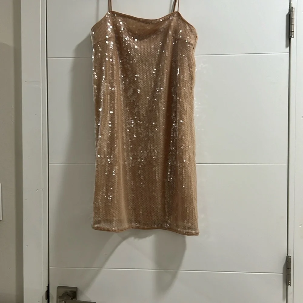 Sequin Tan Dress - Picture 1 of 6